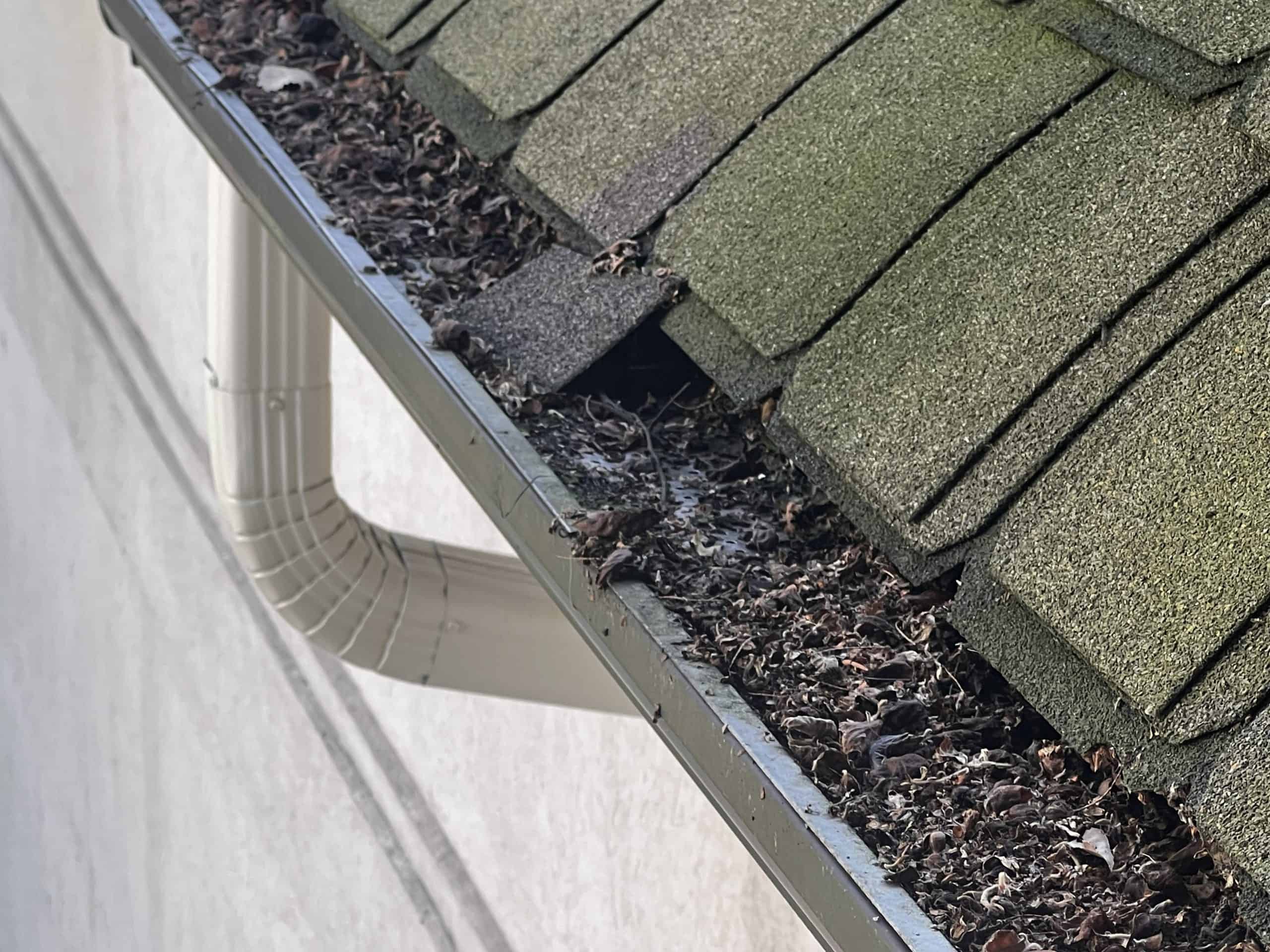 Clogged gutter system overflowing with leaves and debris in McHenry County