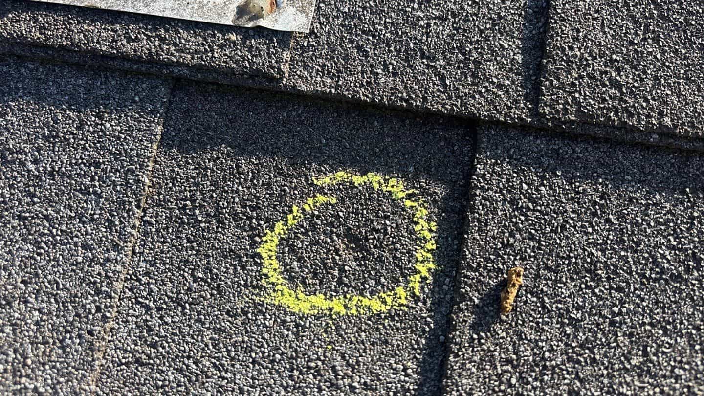 Asphalt shingle hail bruise marked in yellow chalk during a Cary, IL hail inspection &mdash; granule loss visible inside the impact circle